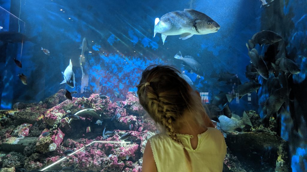 Aquarium Piran Slovenia