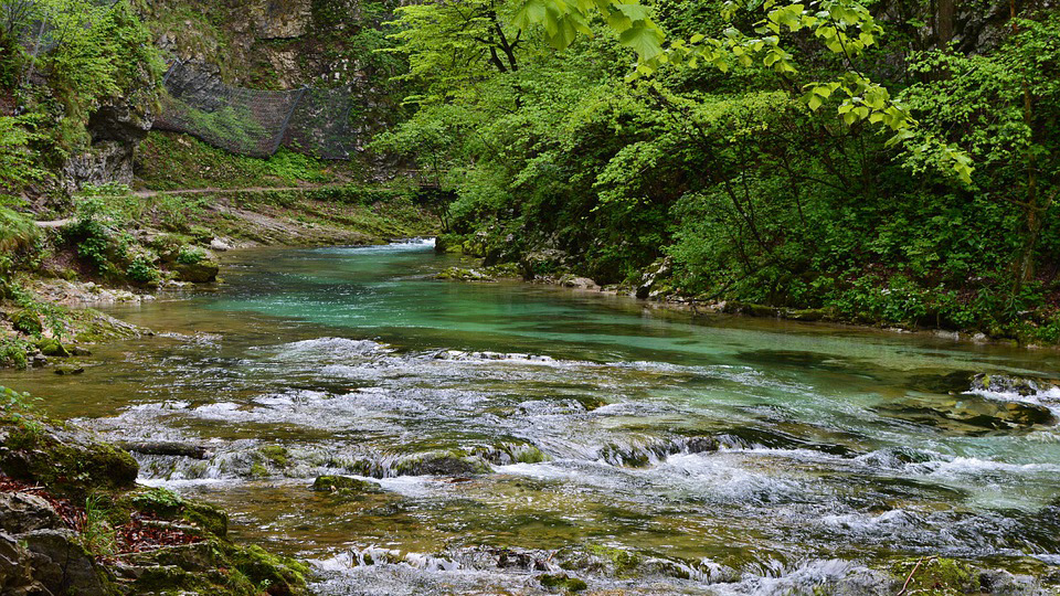 Vintgar Gorge