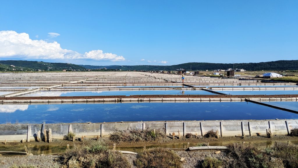 Sečoivlje Saltworks Slovenia