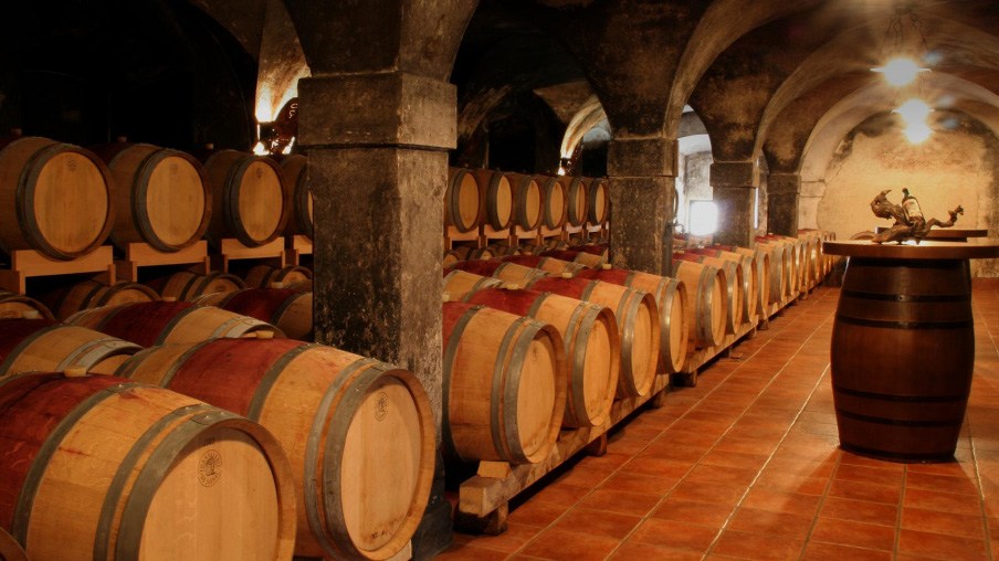 Krško Wine Cellar Tour Slovenia