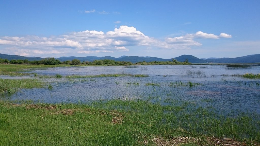 Lake Cerknica Slovenia